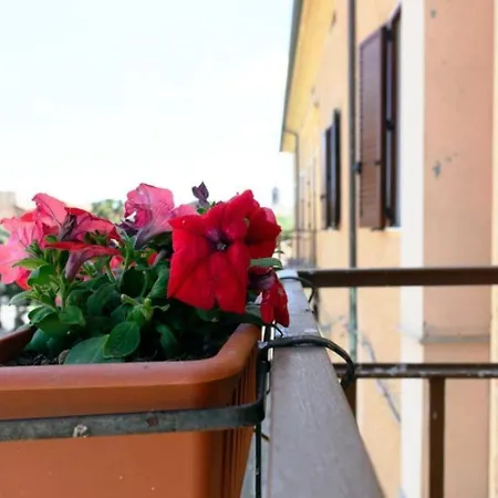 La Casa Di Dorothy Bed & Breakfast