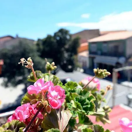 לינה וארוחת בוקר La Casa Di Dorothy Telti